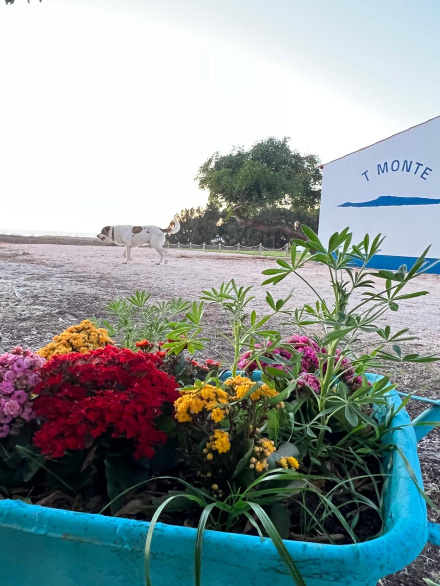 Willa T Monte Porto Covo Zewnętrze zdjęcie